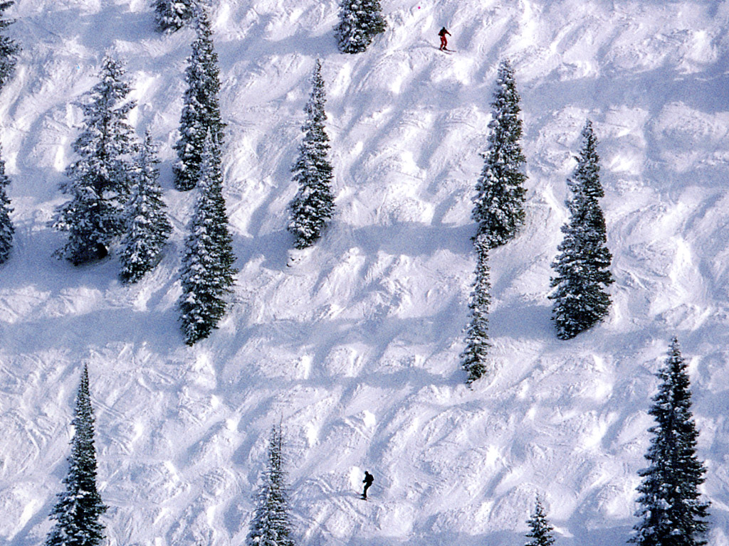 JLM-Colorado-Aspen Mountain.jpg