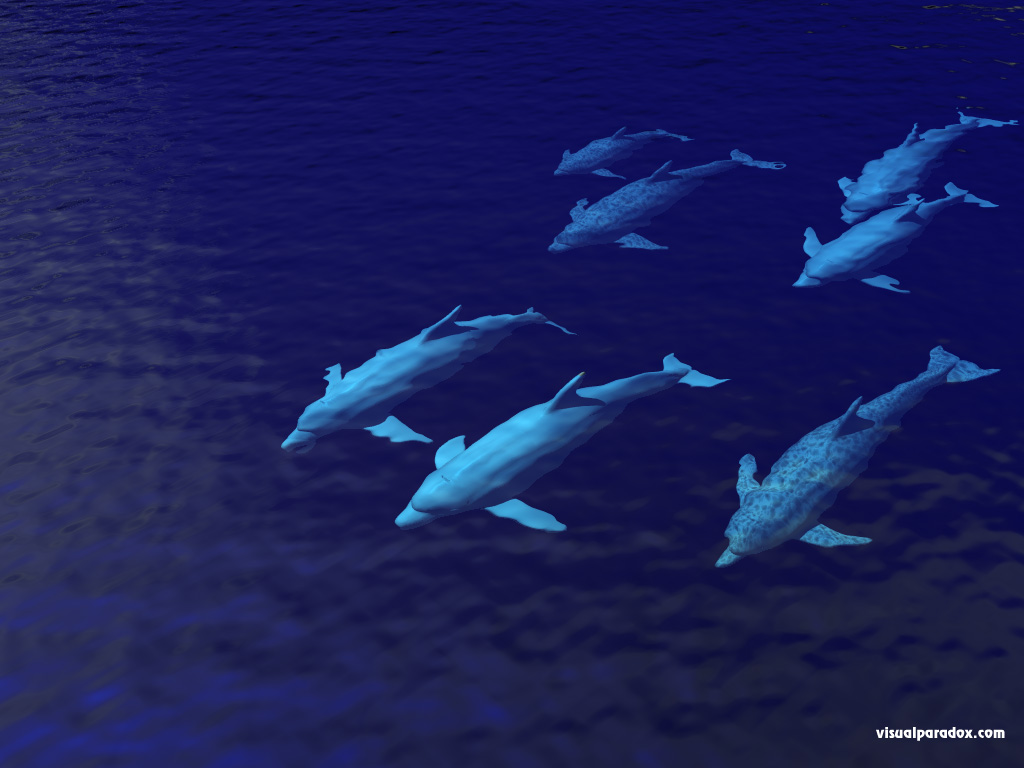 dolphinpod.jpg