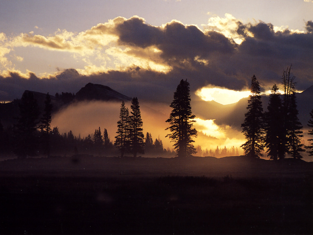 JLM-California-Yosemite-Tuolumne Meadows.jpg