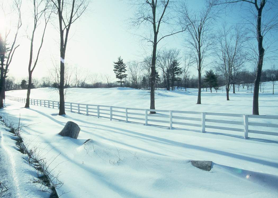 Winter_landscape.jpg