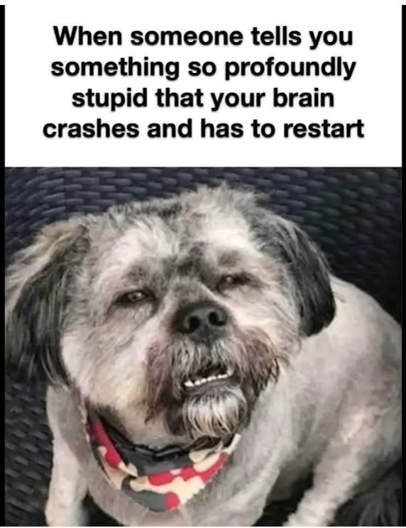 brain crash.png