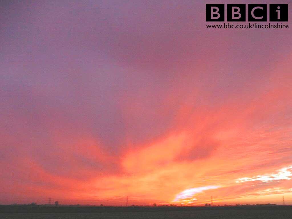 Plum sky.jpg