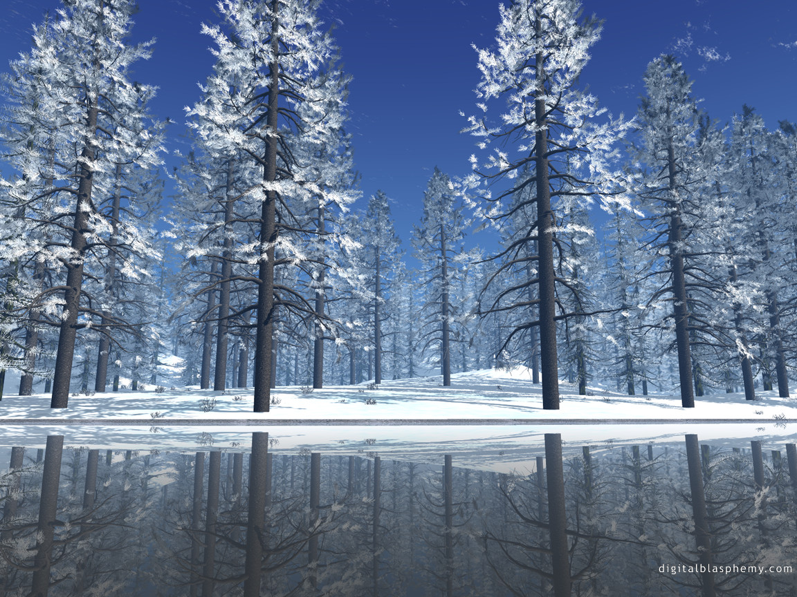 snowy.jpg