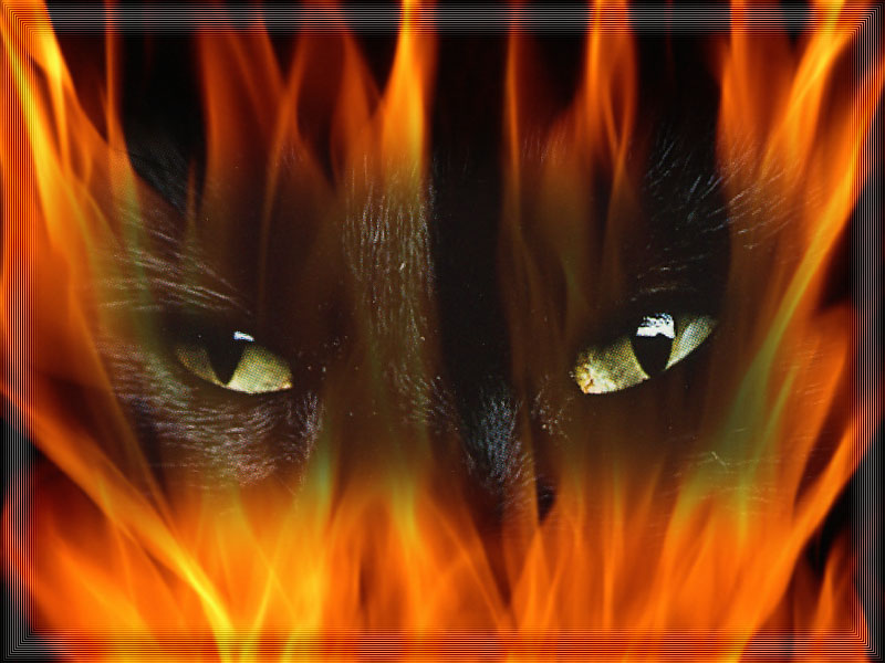 fireyes.jpg