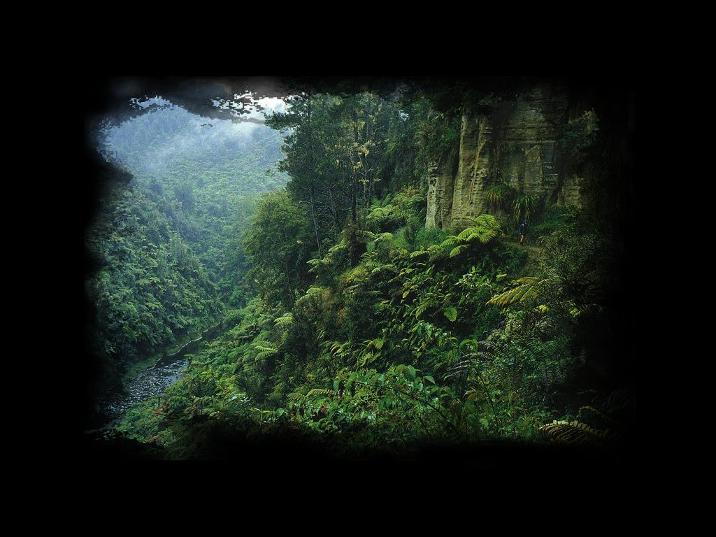 HT_WhanganuiRiver_NZ.jpg