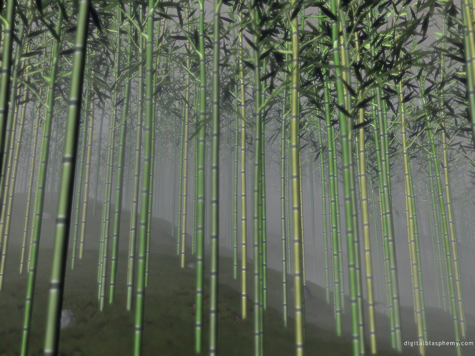 bamboogrove1600.jpg