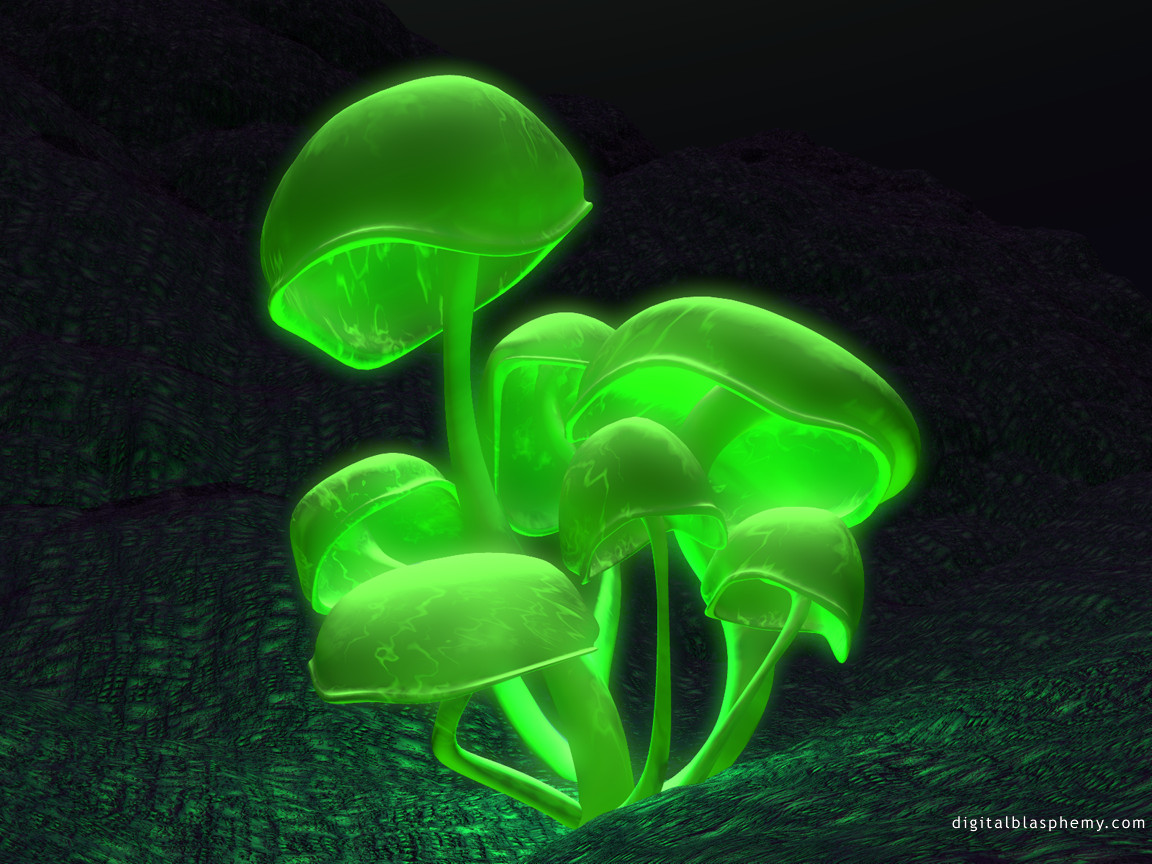 fluorescence_green.jpg