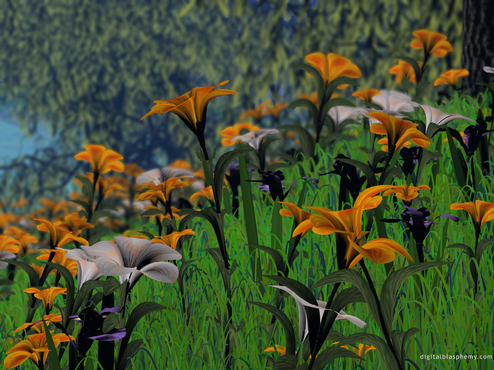 inbloom1600.jpg