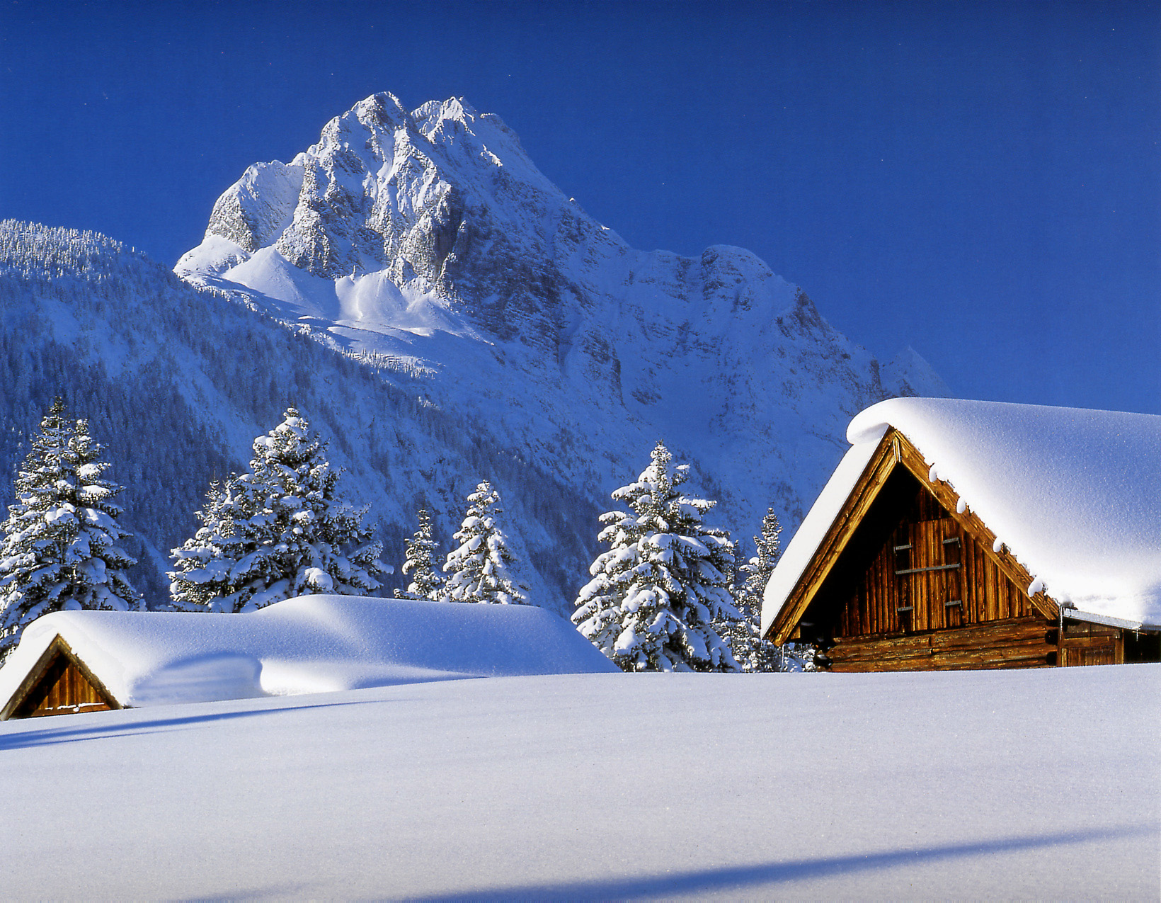 Images of Nature 44 Sun.jpg