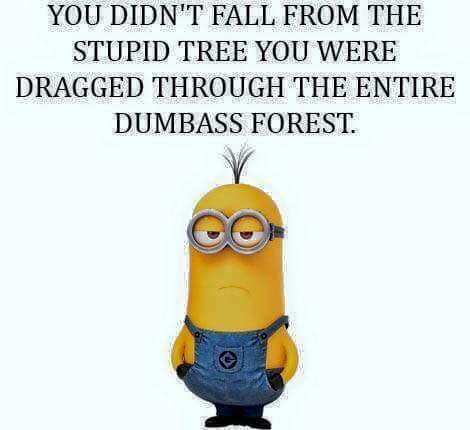 FB_IMG_1447073144309.jpg