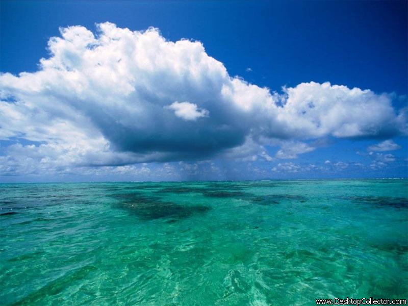 nature 119.jpg