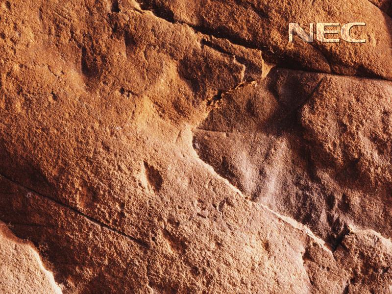 nec10.jpg