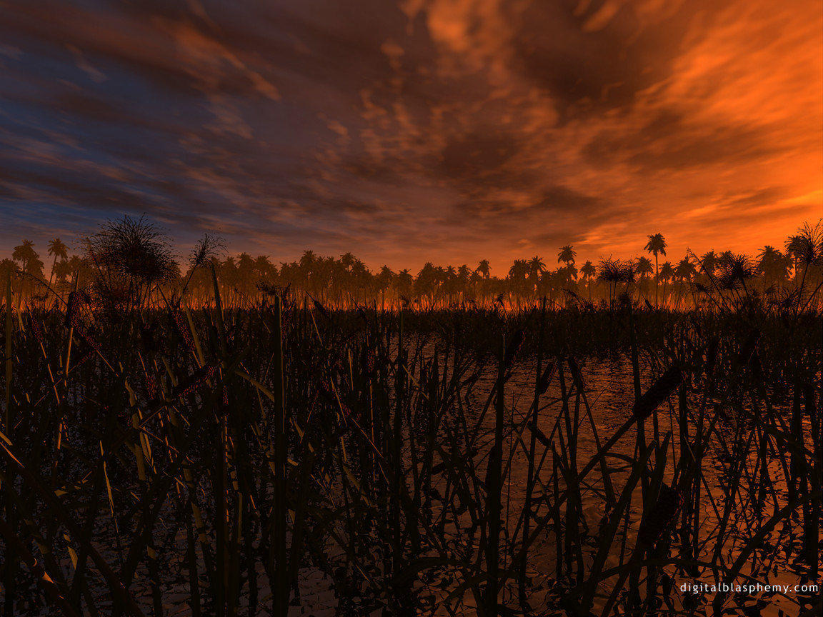 estuary1.jpg