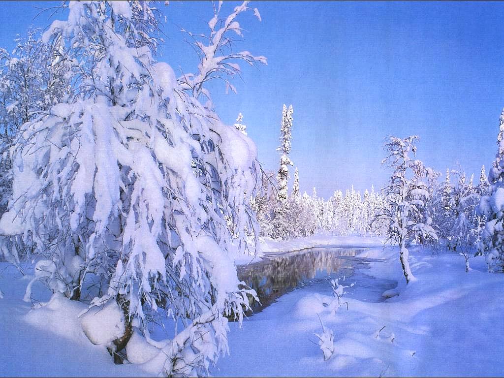 Seasonal002_cc.JPG