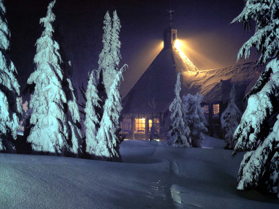 timberline.jpg