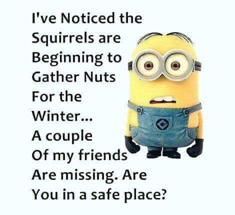 FB_IMG_1444414311184.jpg