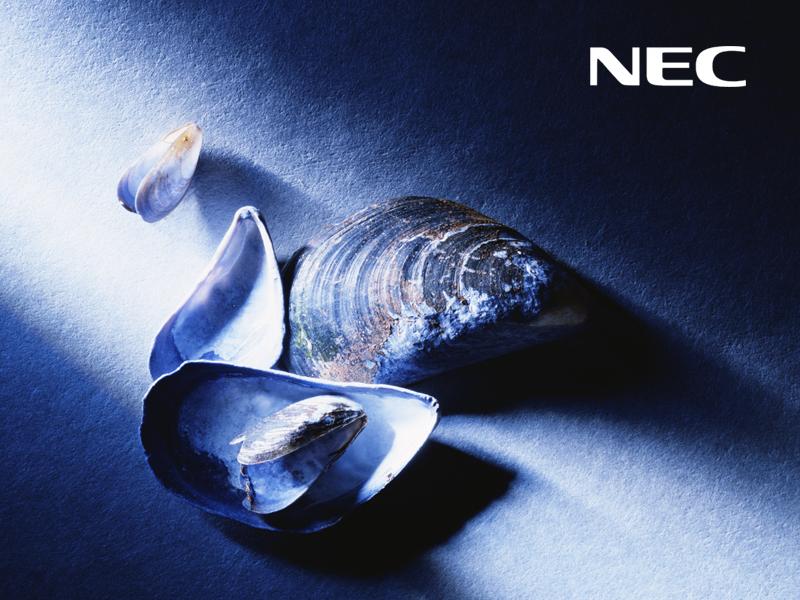 nec2.jpg