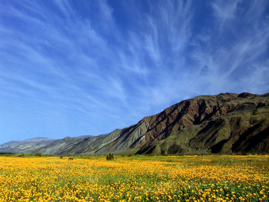 JLM-California-Borrego Valley.jpg