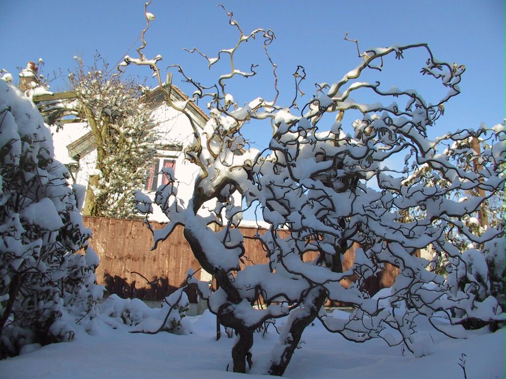 winter7.jpg