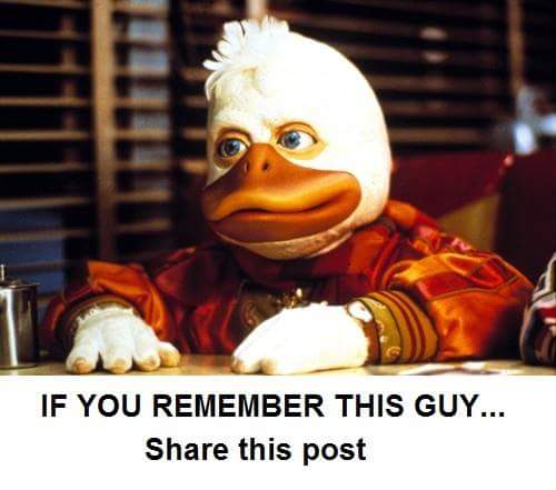 FB_IMG_1425683056878.jpg