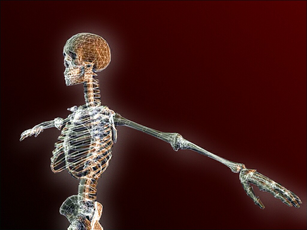 skeleton_1024.jpg