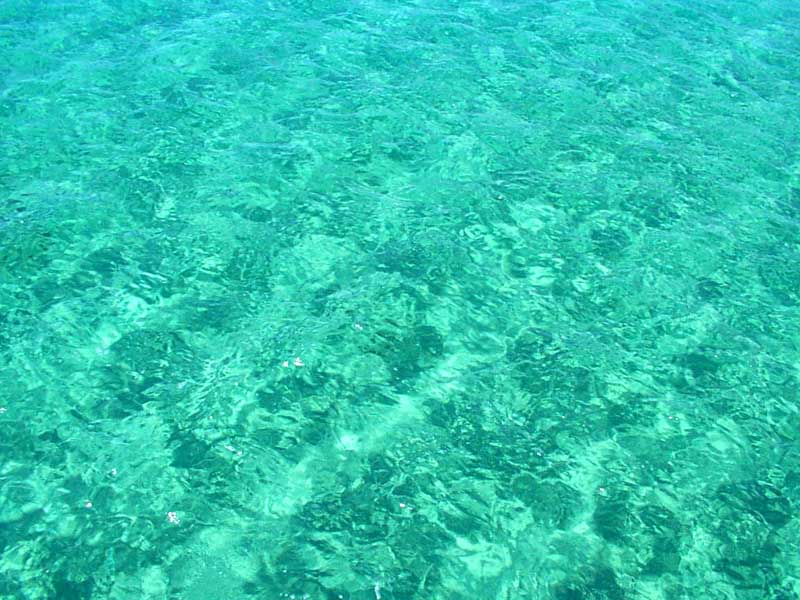 Ocean.jpg
