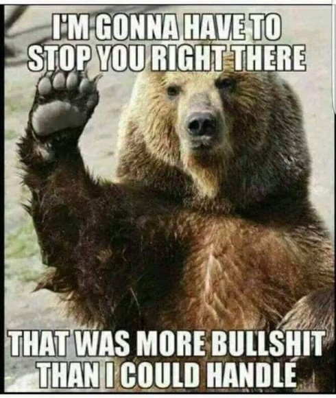 more bullshit.jpeg