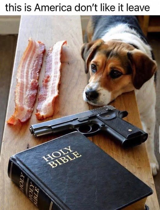 HB98JPqW0AALdZE.jpg