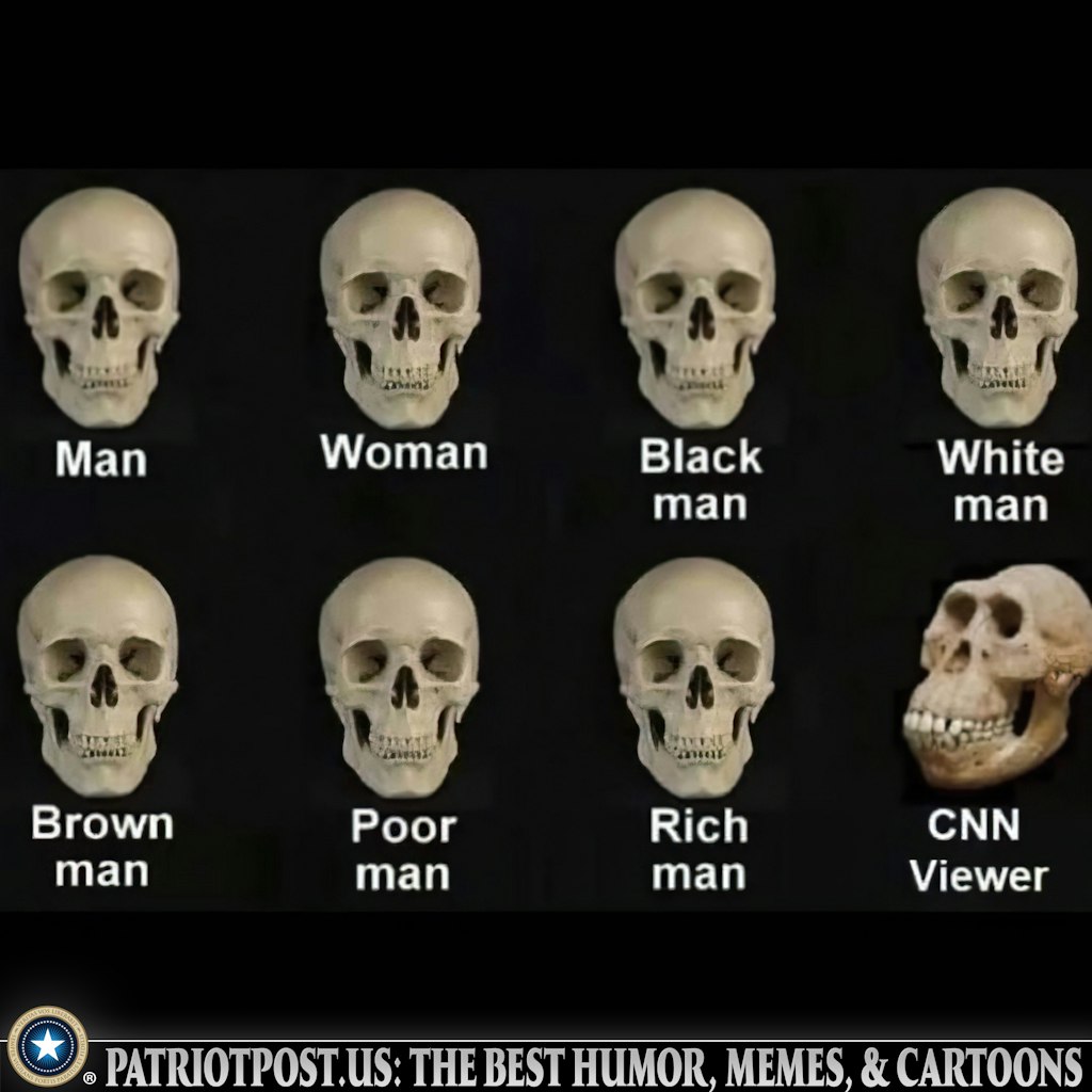 01JWZ6S68M6CKK7NKA5PV7NG85.jpeg