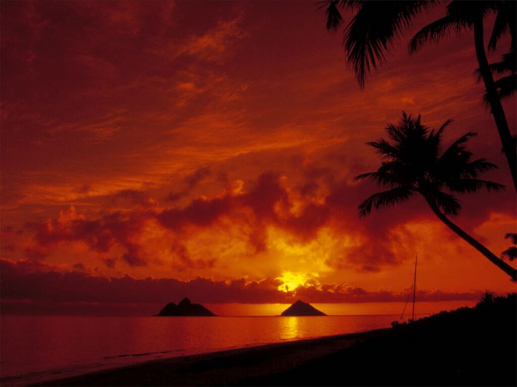 rednight.jpg