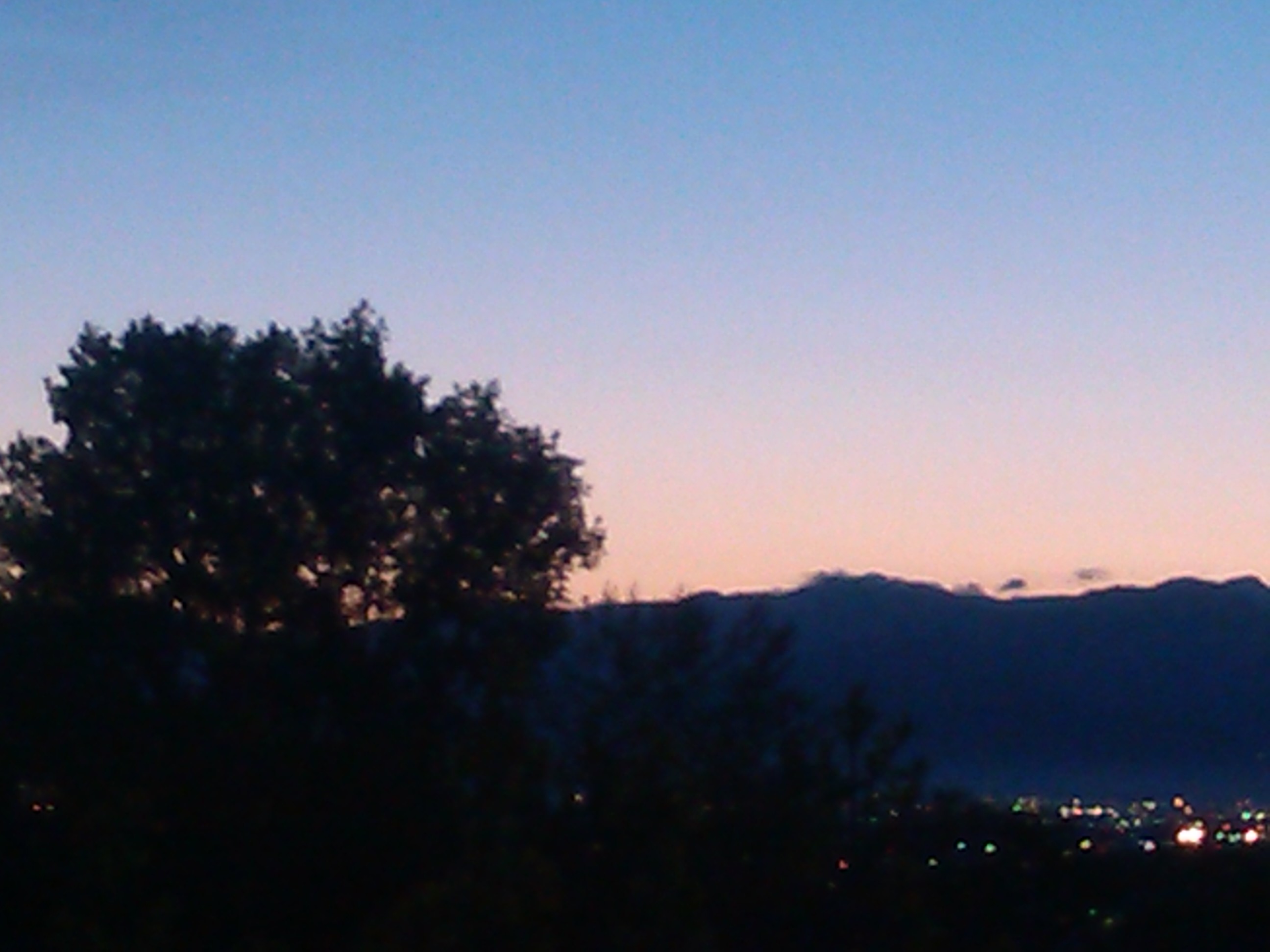 IMG_20130509_054848.jpg