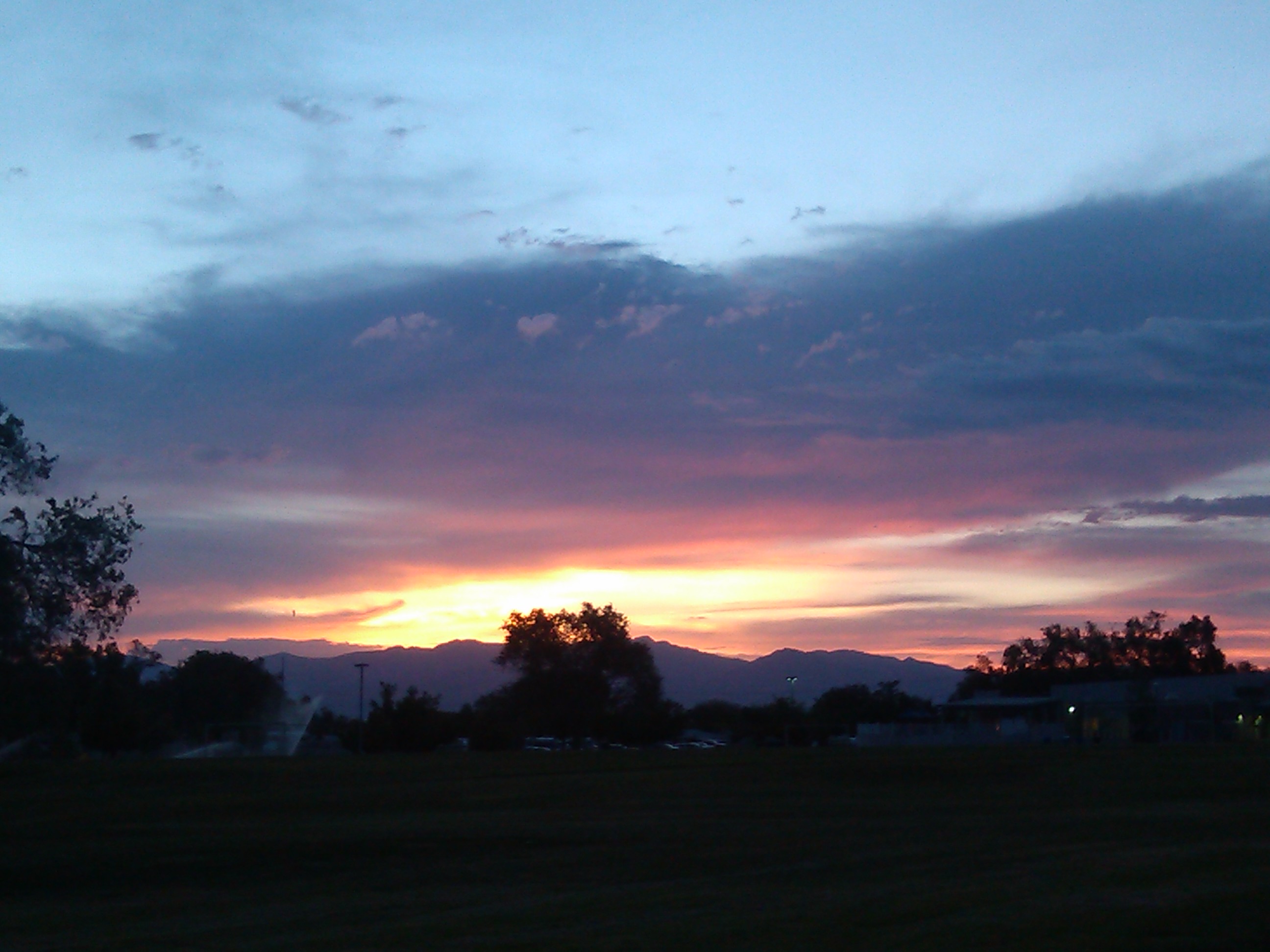 IMG_20130624_054506.jpg