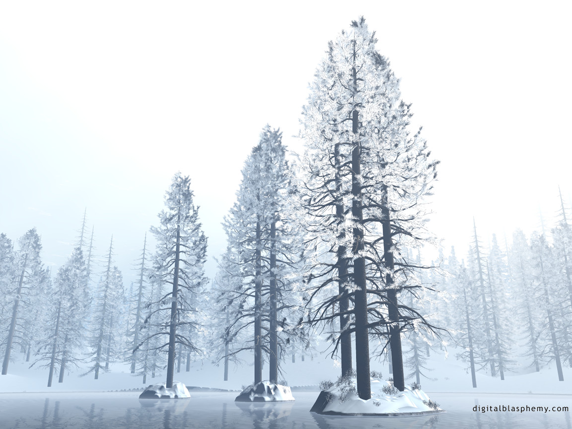 firstsnow.jpg