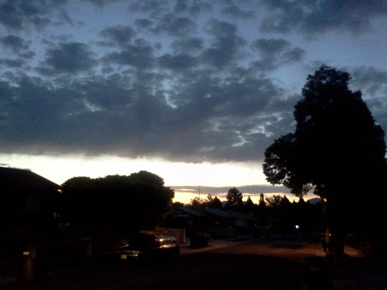 IMG011.jpg