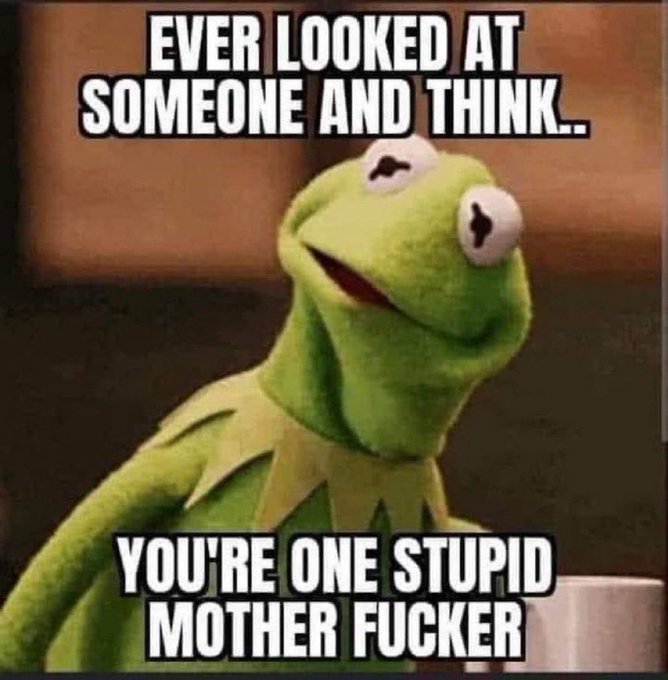 stupid mofo.jpeg
