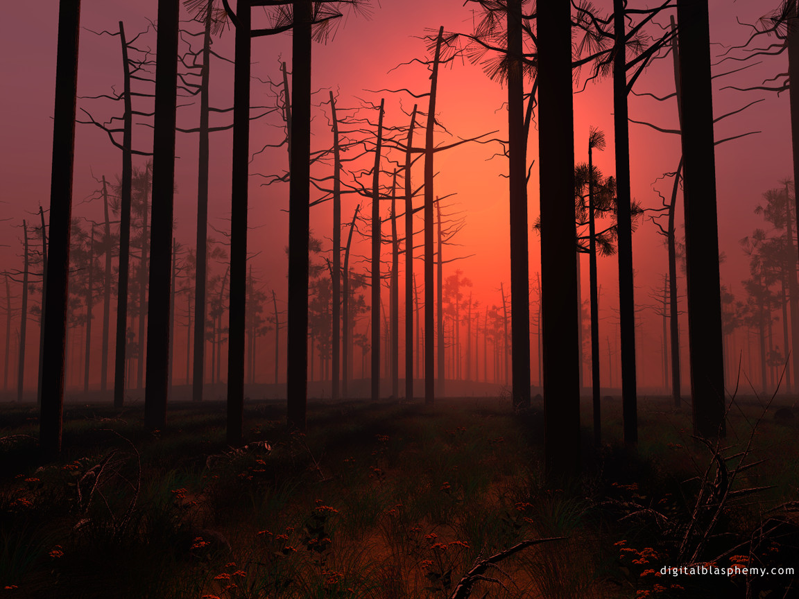 sunsetfog.jpg
