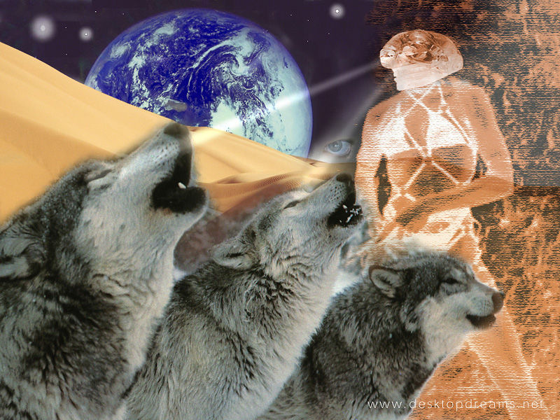 wolftmr.jpg