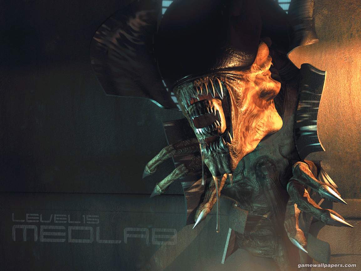 alien.jpg