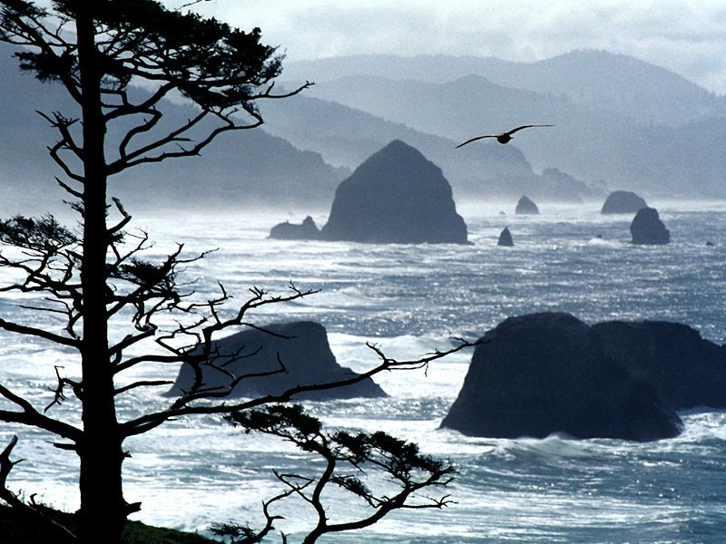 Ecola Point, Oregon Coast.jpg