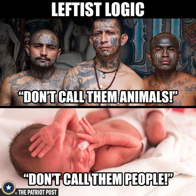 q1bb4w4jg5131.jpg