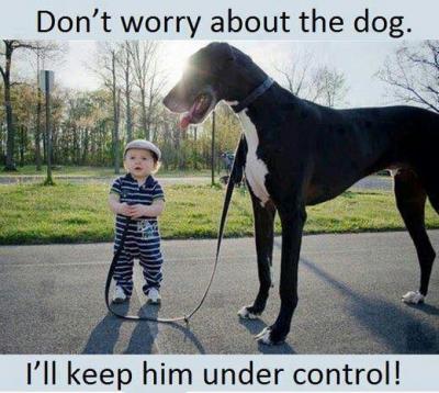 big_dog.jpg