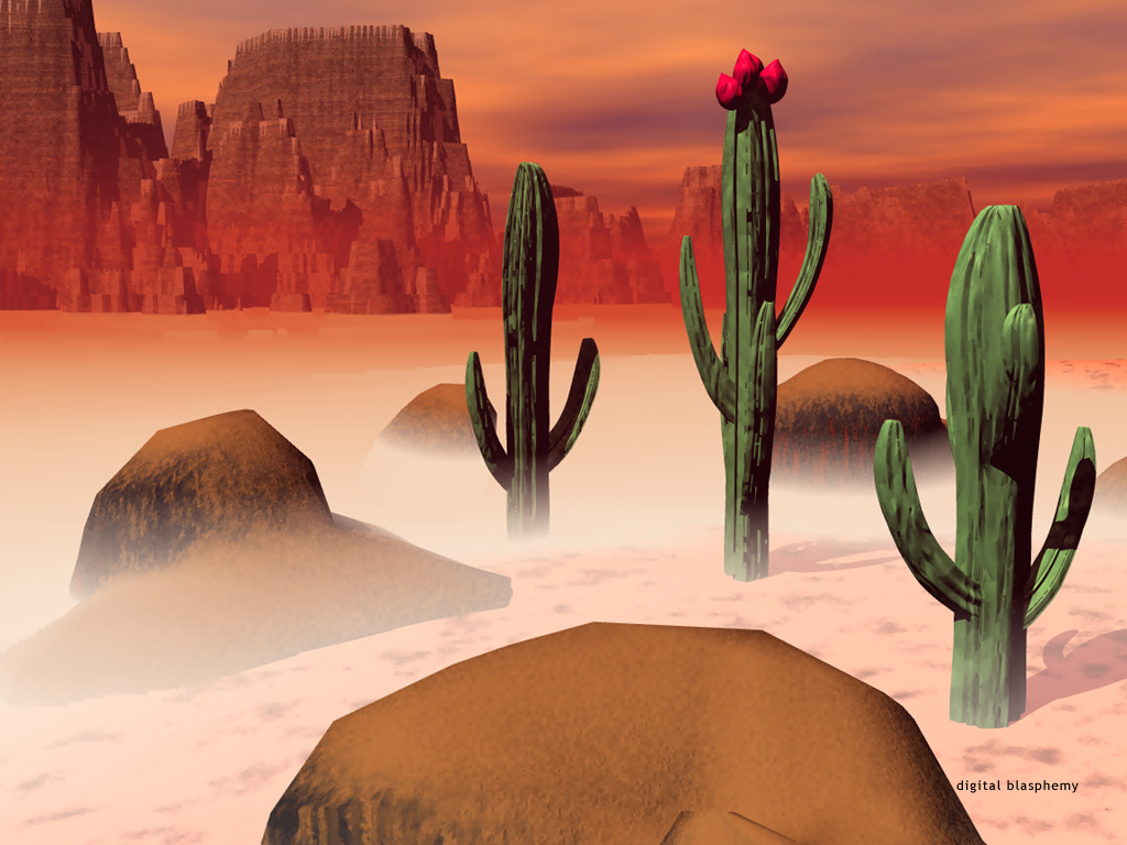 cactus.jpg