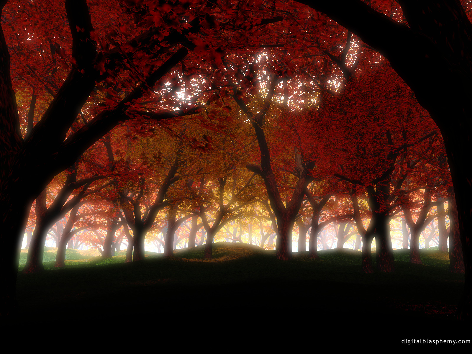 autumnfire1600.jpg
