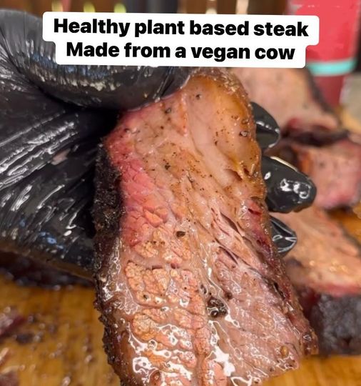 plant based steak.jpg