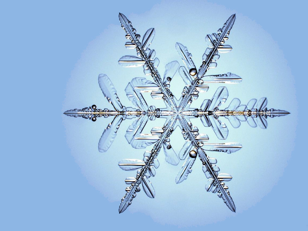 JLM-snowflake 04.jpg
