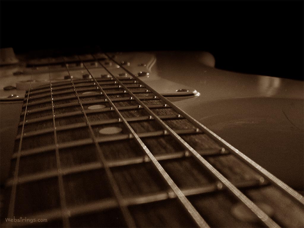 fender-neck-1024x768.jpg