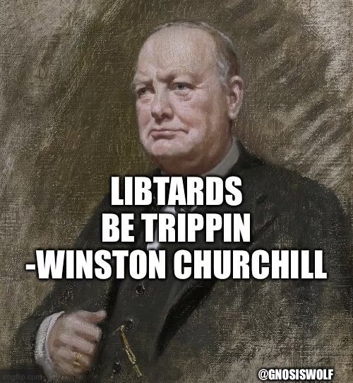 libtard trippin.jpeg