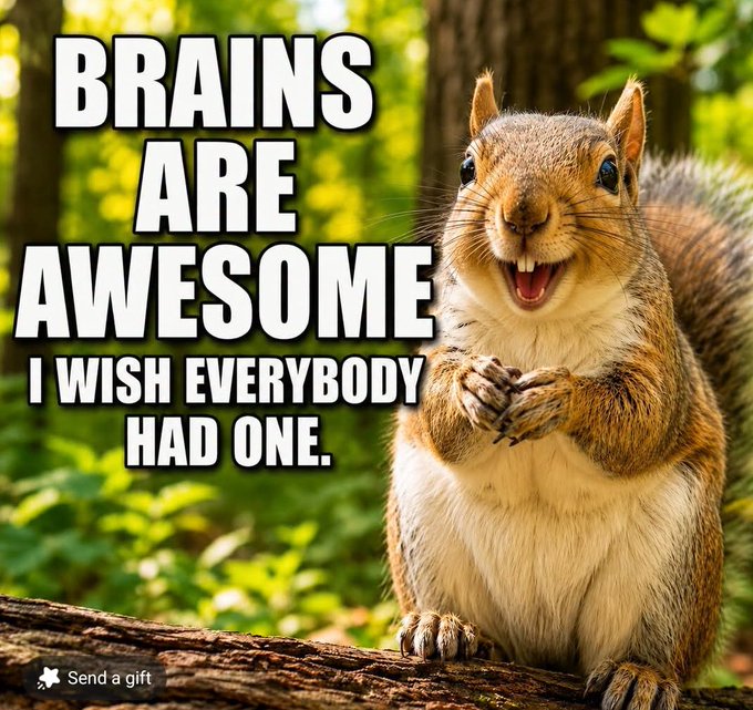 brains are awesome.jpeg