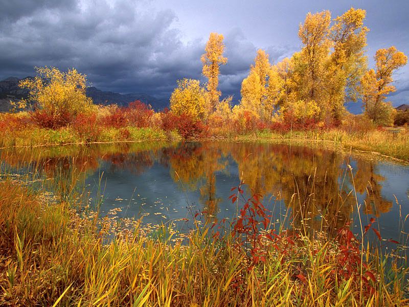 Storm Clouds over Peggy's Pond, Jackson Hole, Wyoming.jpg