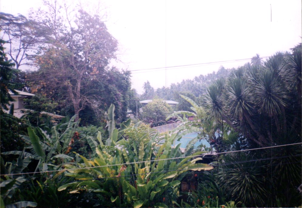 Document_20250323_0002.jpg